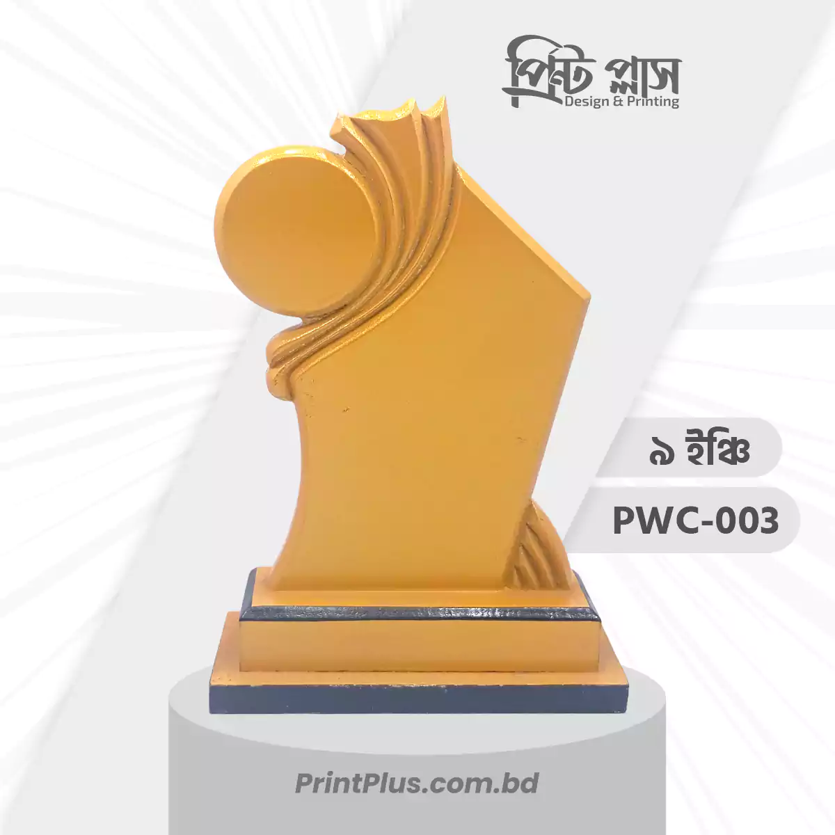 ক্রিকেট সেরা খেলোয়াড় সম্মাননা ক্রেস্ট Best Cricket Player Award Crest printplus.com.bd